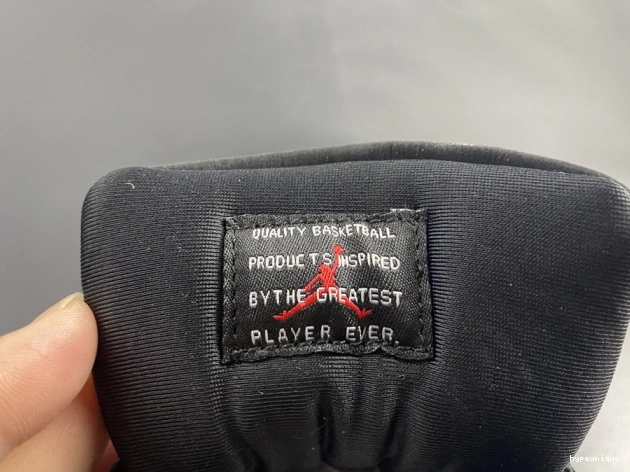HYPE 11 INSTINCT AR0715-010 ANIMAL JORDAN AIR 0812